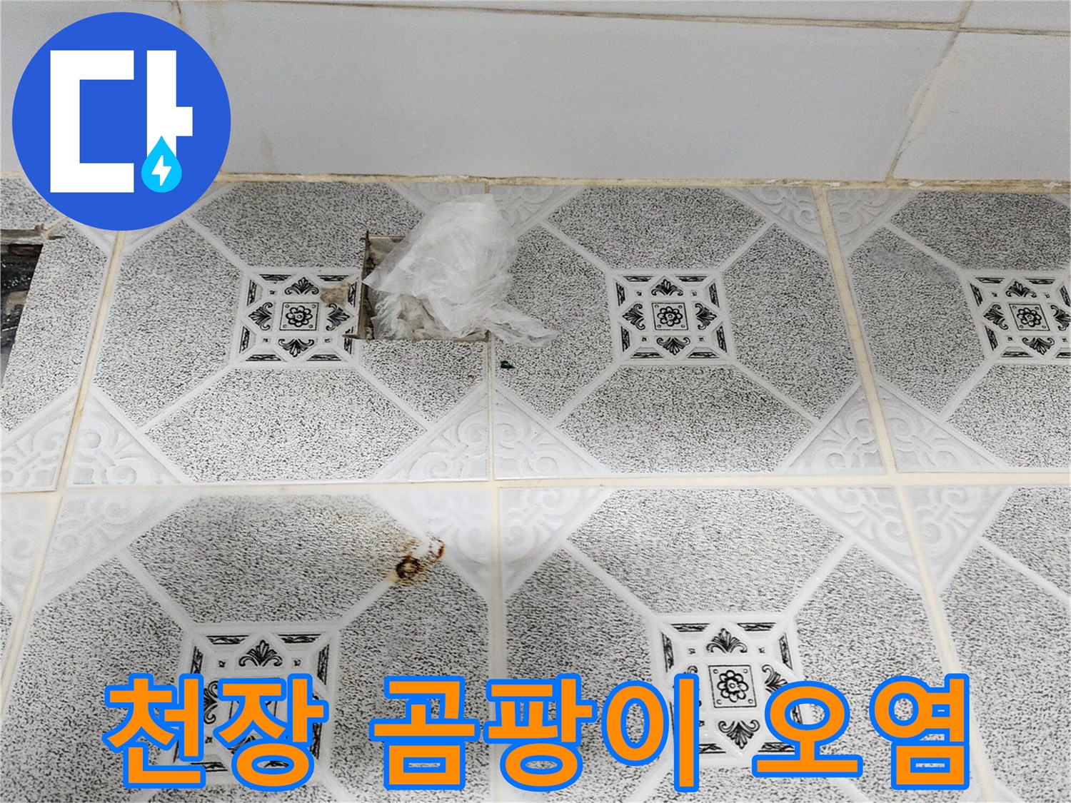 포천 구읍리 현장-검게 변한 천장 텍스의 곰팡이 상태