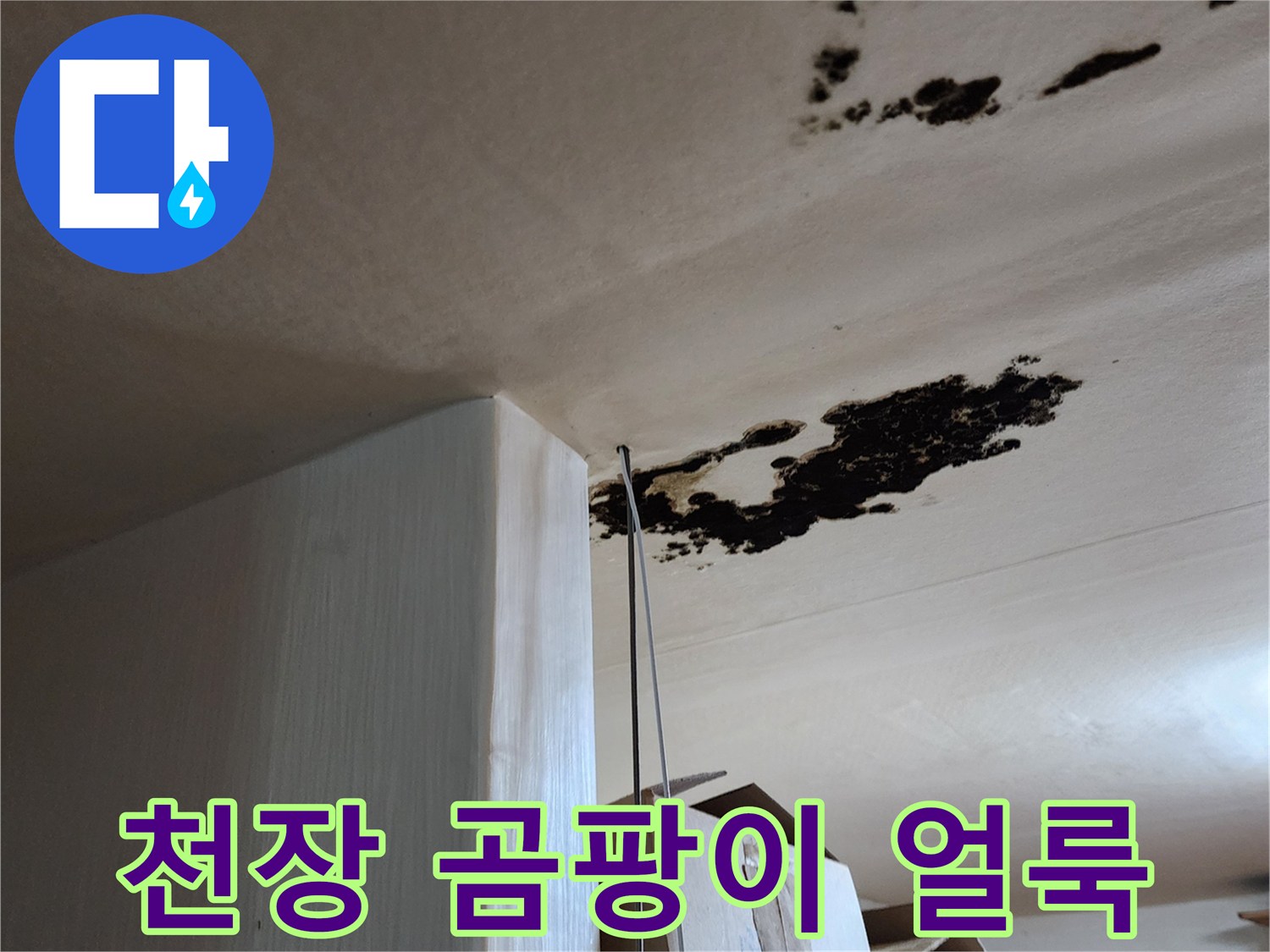 포천 구읍리 현장-천장에 발생한 검은 곰팡이와 물 흔적
