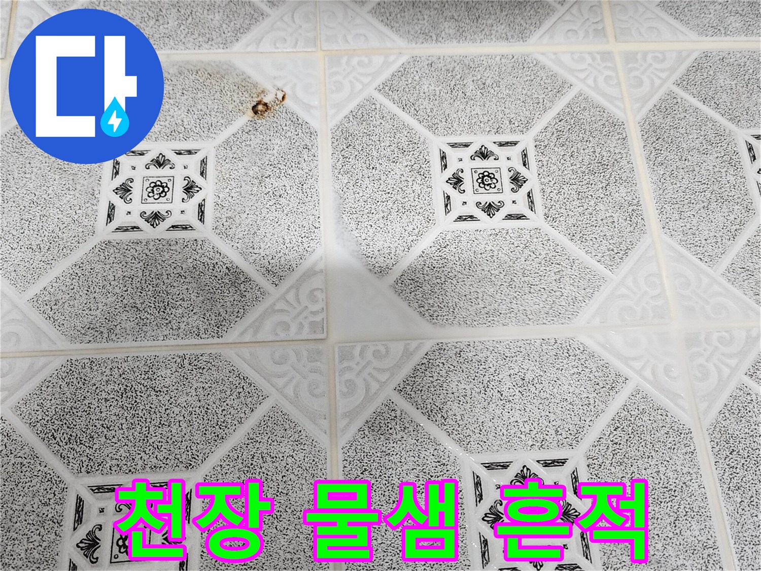 포천 구읍리 현장의 천장 물샘 얼룩과 곰팡이 상태
