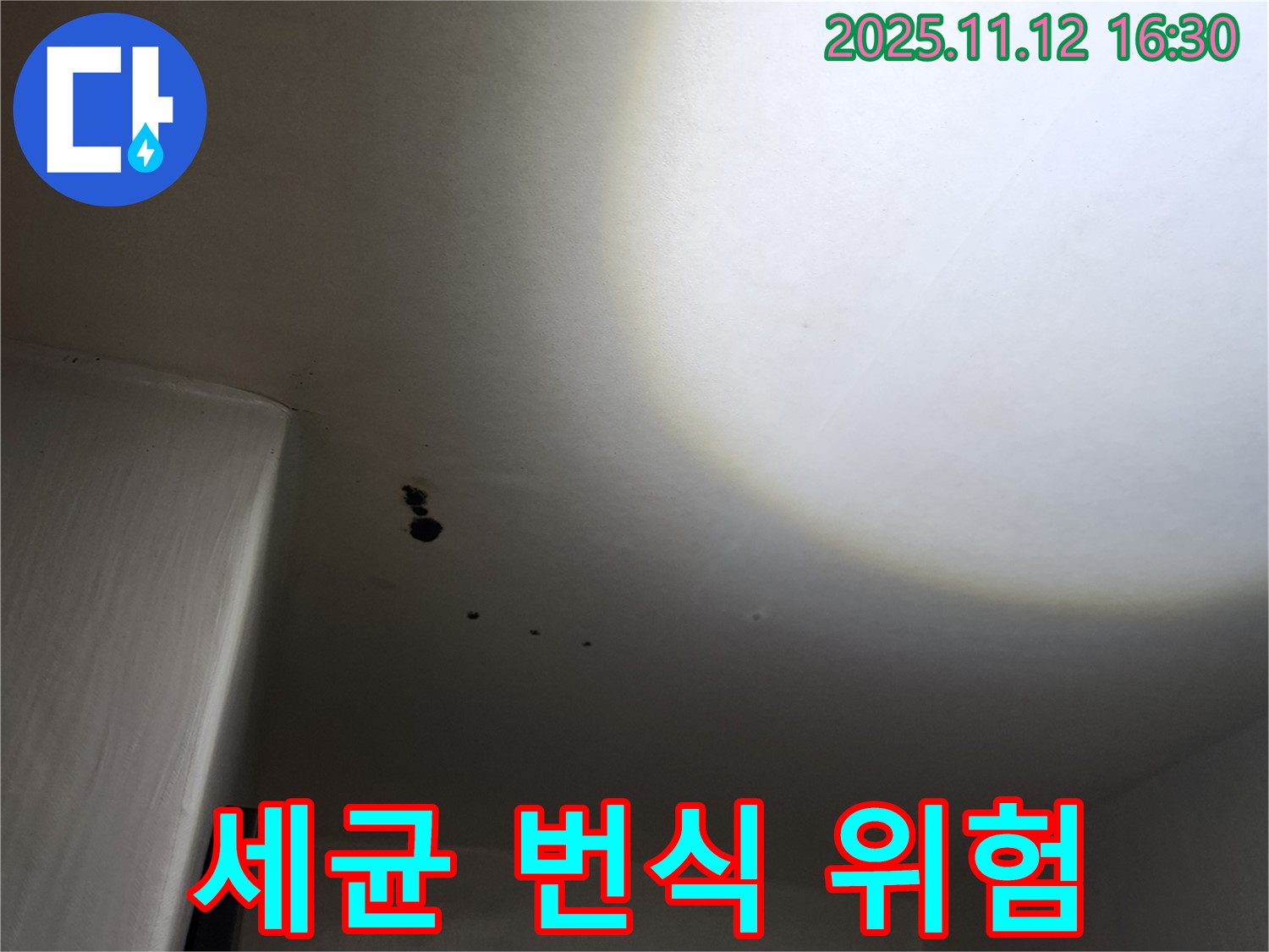 포천 군내면 천장 - 세균 번식 - 공기 오염