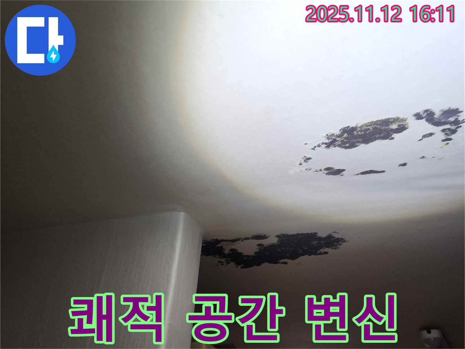 포천 누수 - 곰팡이 천장, 쾌적 공간으로 완벽 변신