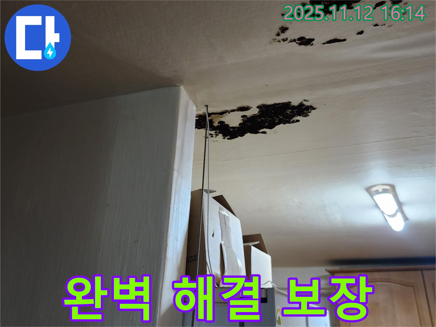 포천 누수 전문가 - 천장 곰팡이, 냄새, 완벽하게 해결