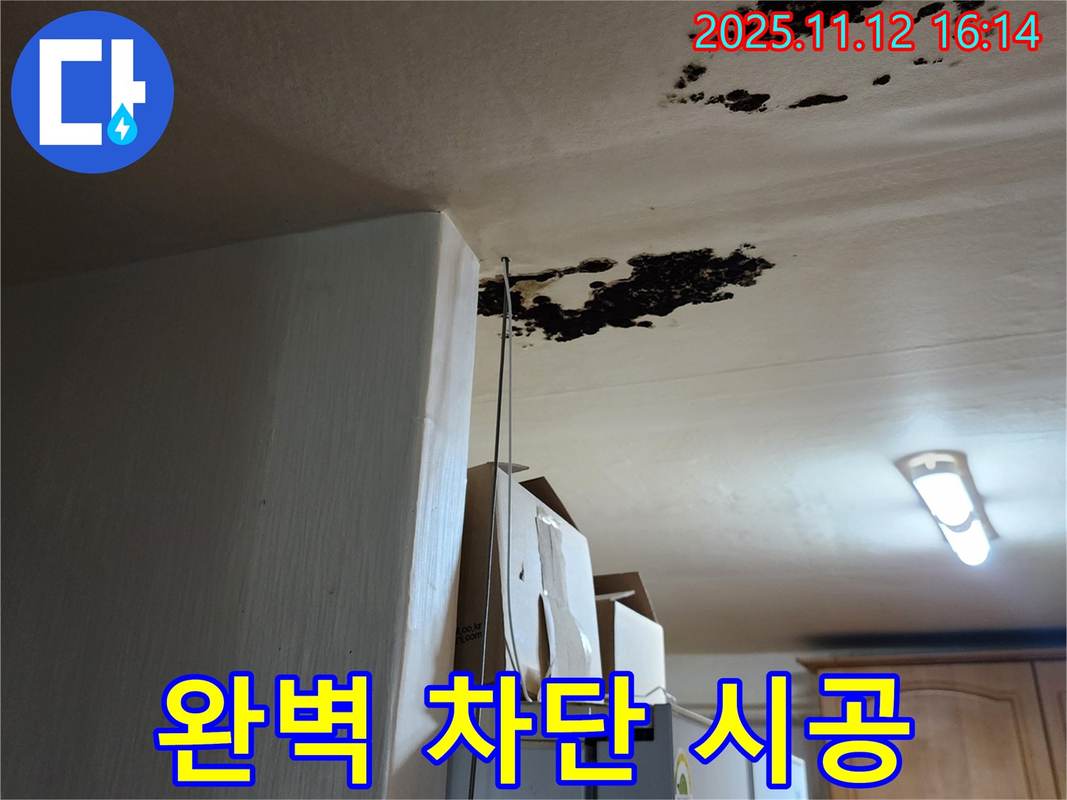포천 누수 전문가 - 천장 곰팡이, 완벽 차단 시공 약속