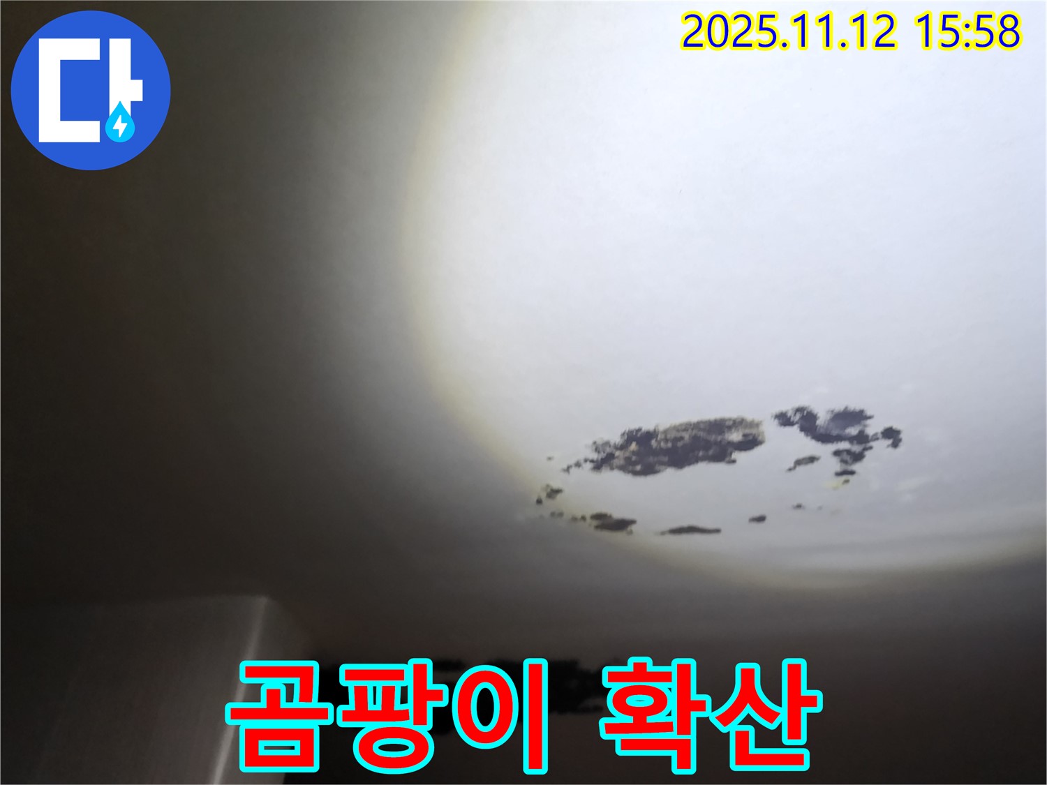 포천시 구읍리 - 곰팡이가 점점 커지고 있는 천장 누수 현장