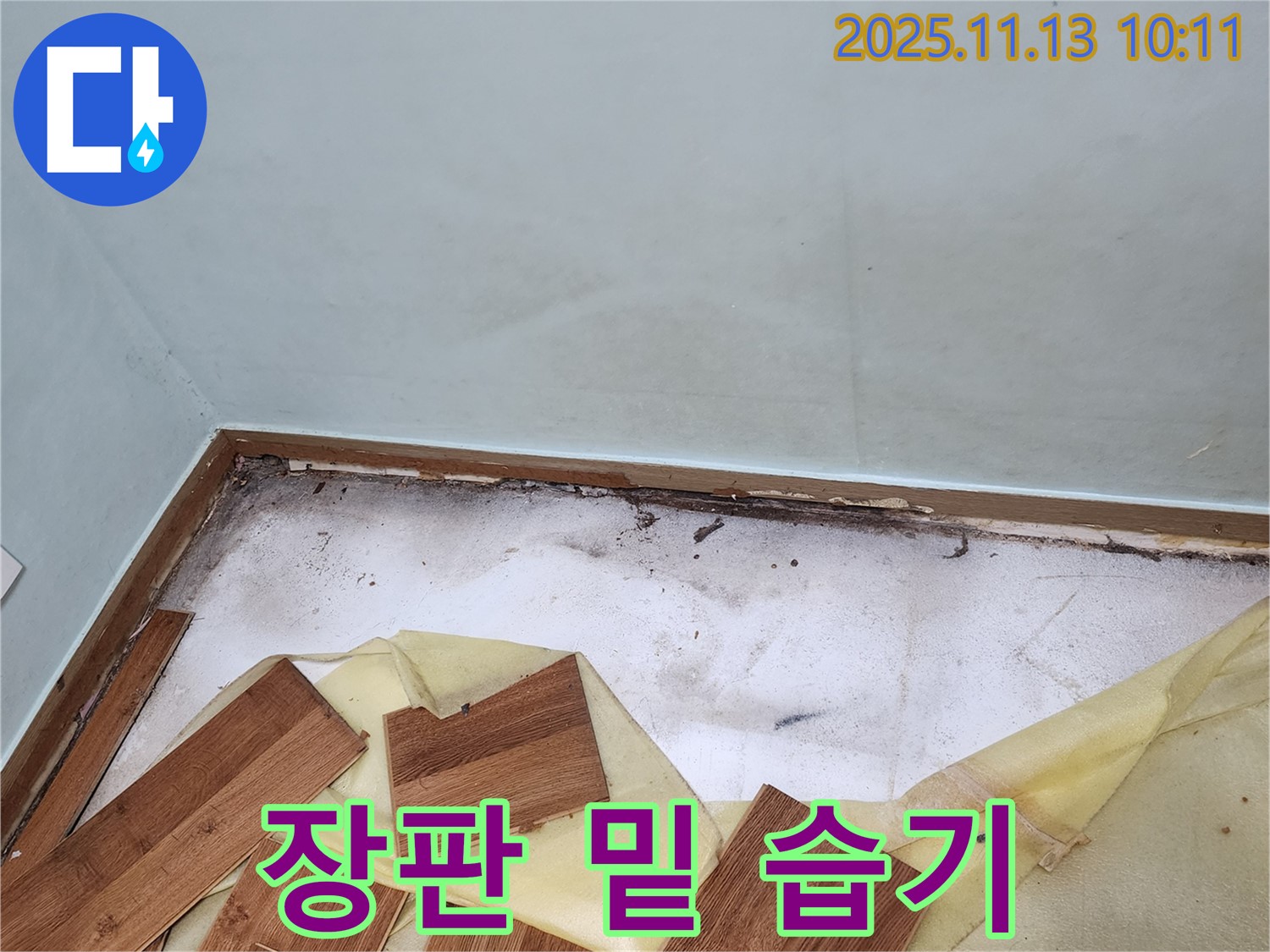 포천 누수 - 장판 밑 습기, 누수 의심