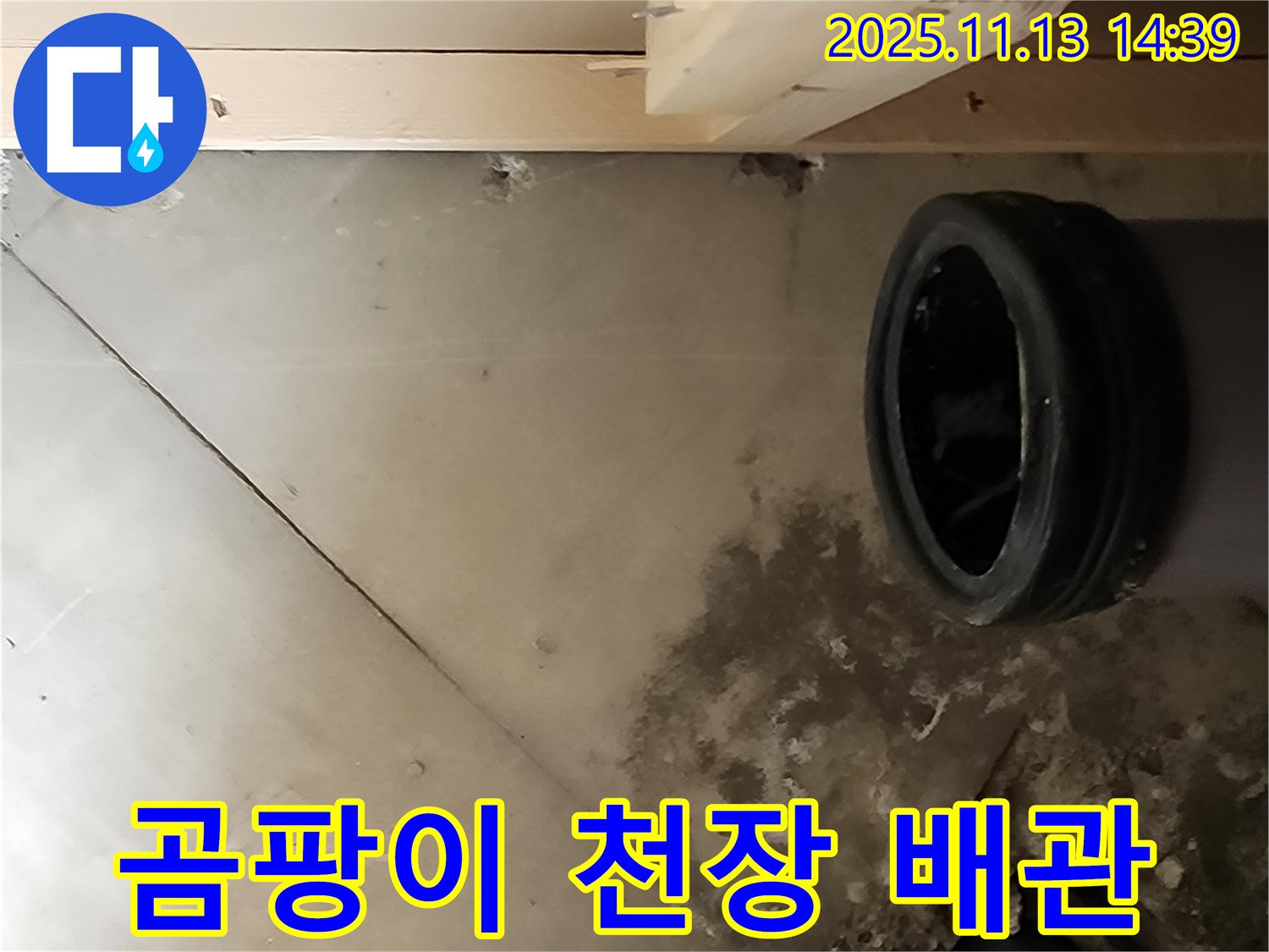 포천시 군내면 유교리 누수 - 곰팡이 핀 천장과 문제 배관
