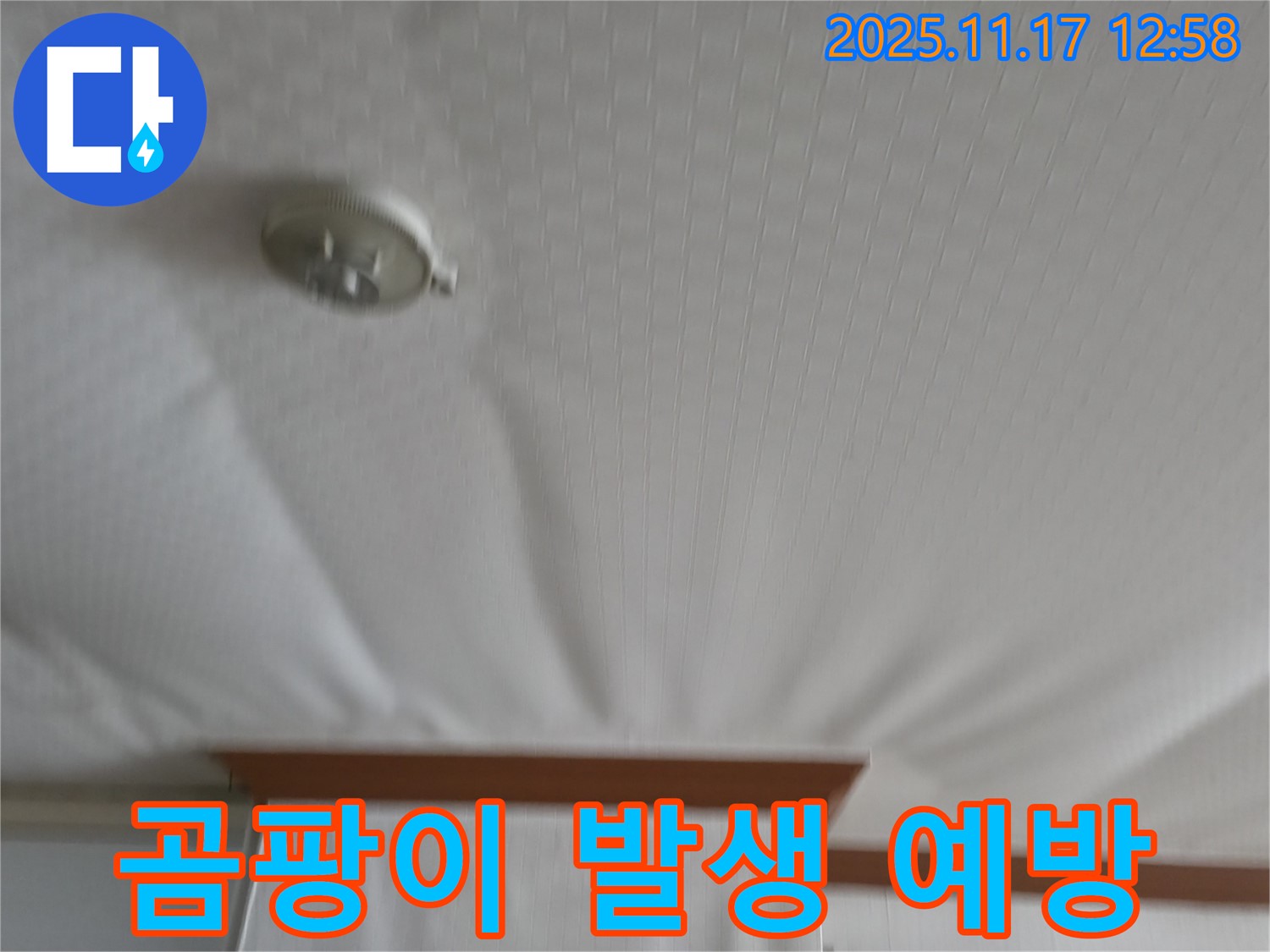 서울가든아파트 2동 - 천장 누수 - 곰팡이 발생 전 긴급 조치!