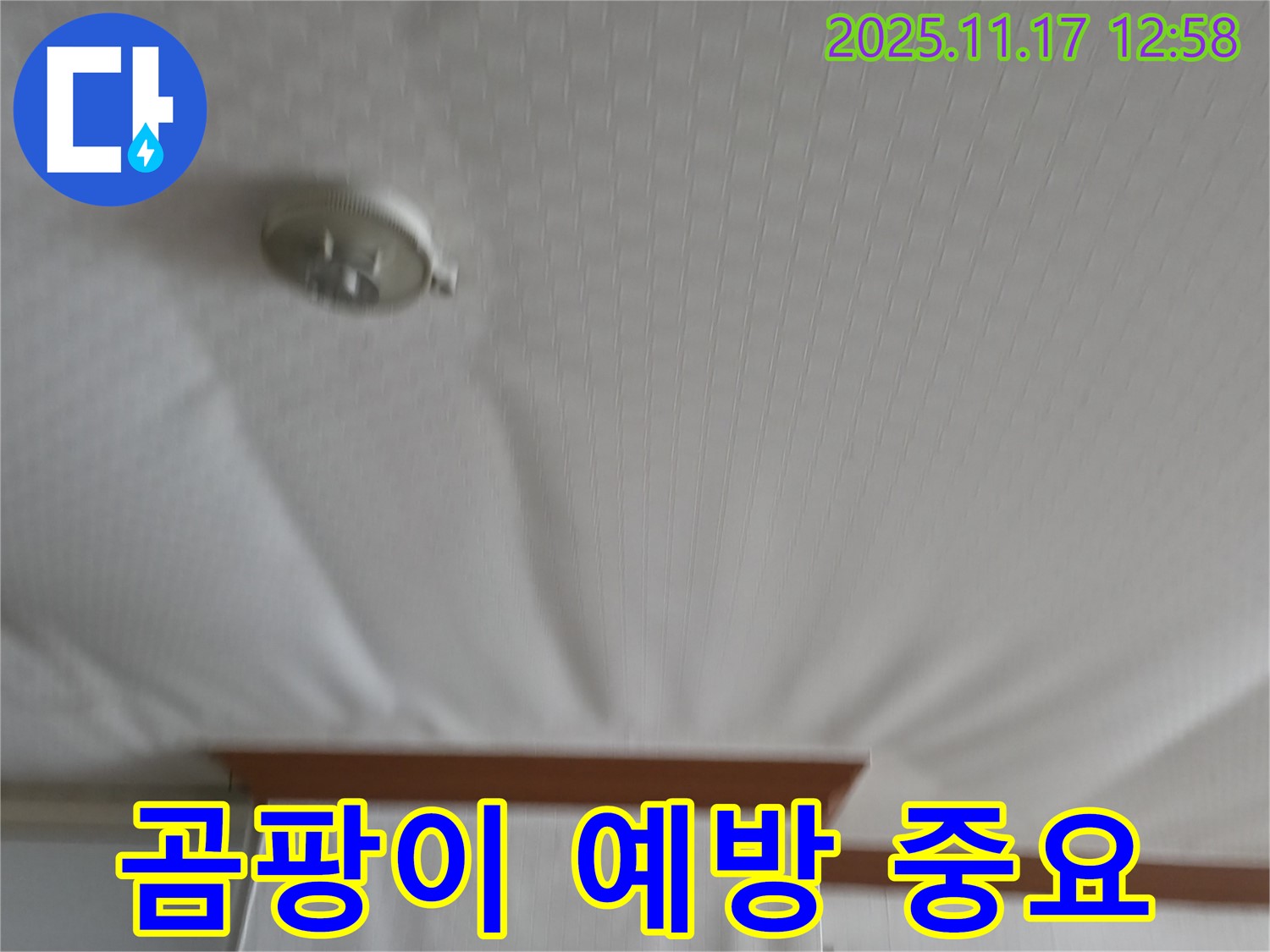서울가든아파트 2동 - 천장 누수 - 곰팡이 생기기 전에 막자!