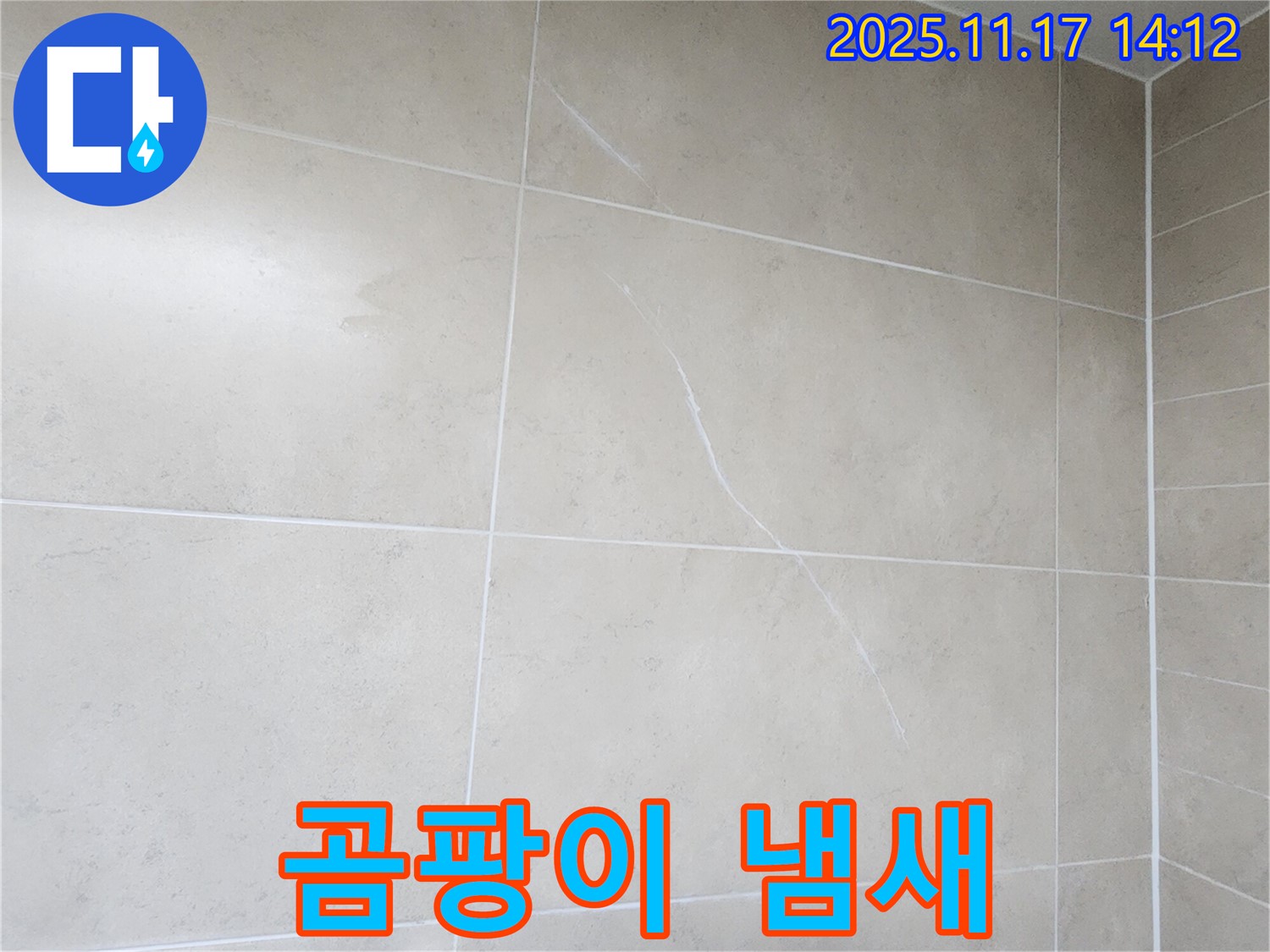 군내면 욕실 타일 - 곰팡이 냄새와 누수의 연관성 분석