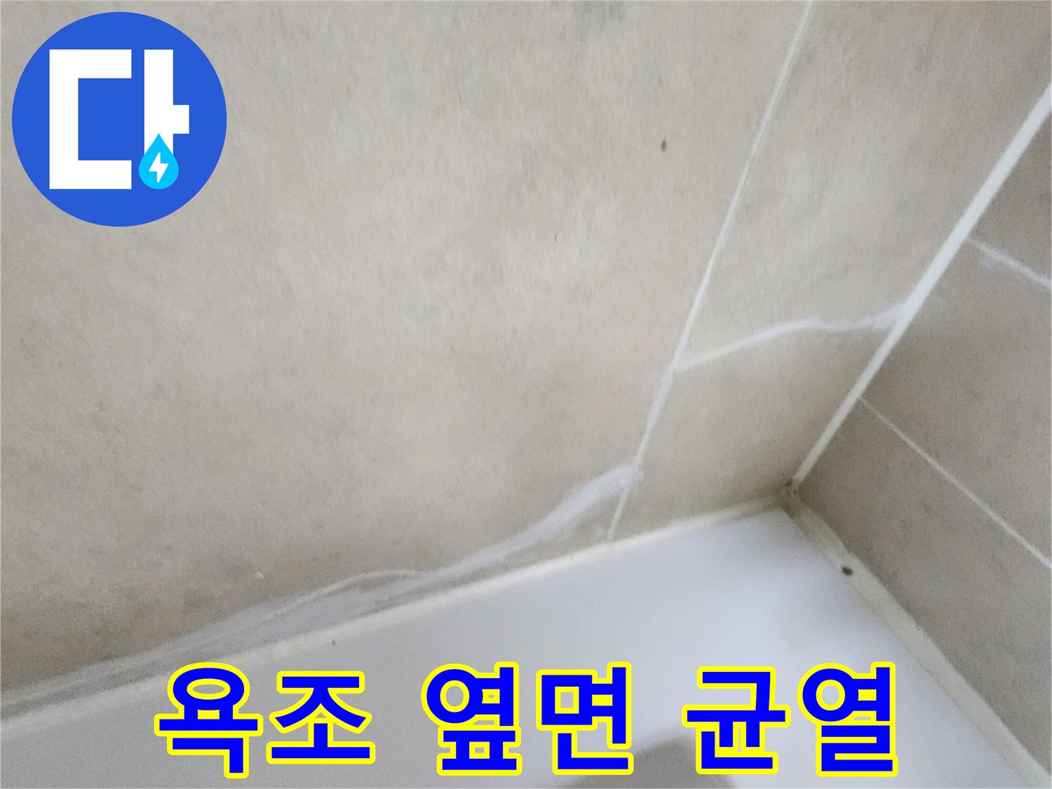 벌어진 타일 사이의 틈새 부위