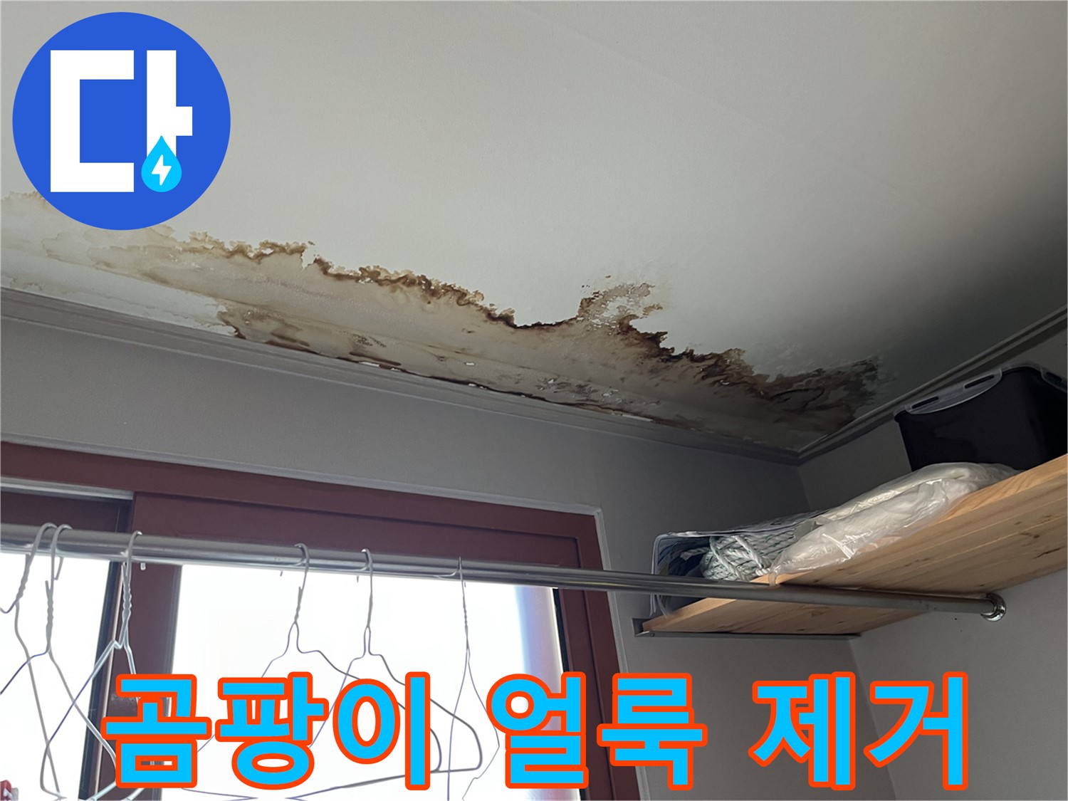 의정부 가능동 빌라 천장 누수 - 곰팡이 얼룩 제거로 깨끗한 천장 되찾기!