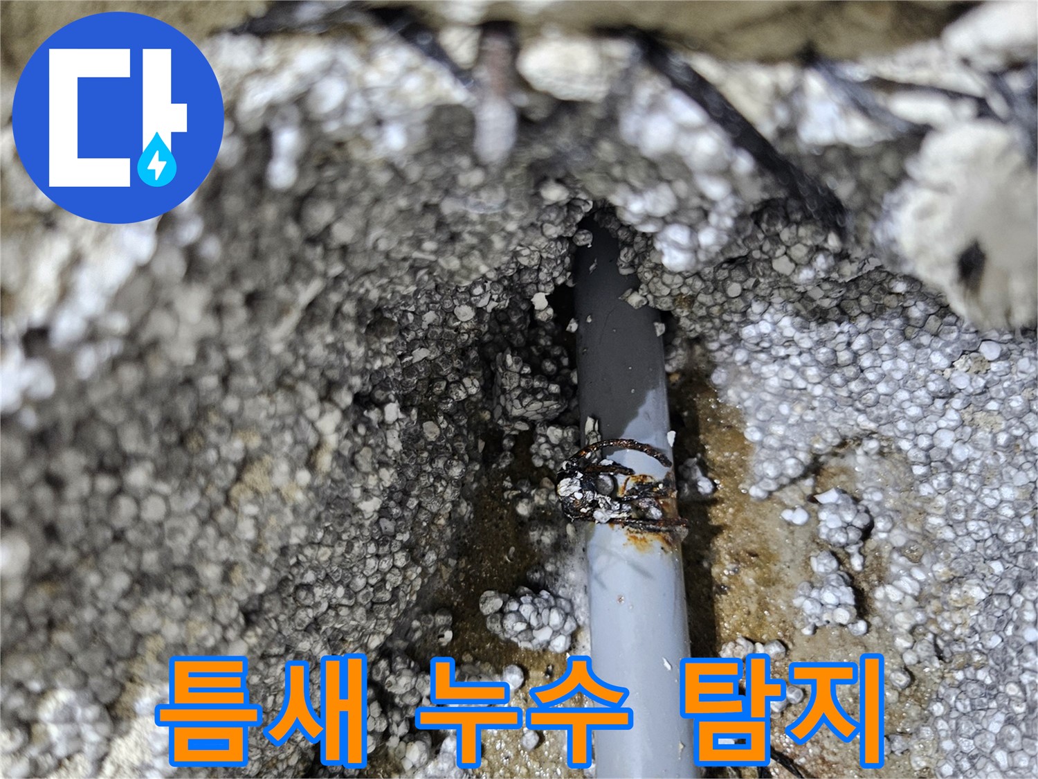 이천 마장면 누수 - 좁은 틈새 누수 탐지 성공