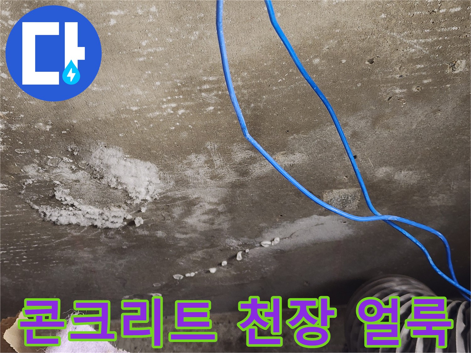 용인시 기흥구 보정동 - 콘크리트 천장 얼룩 - 누수 의심