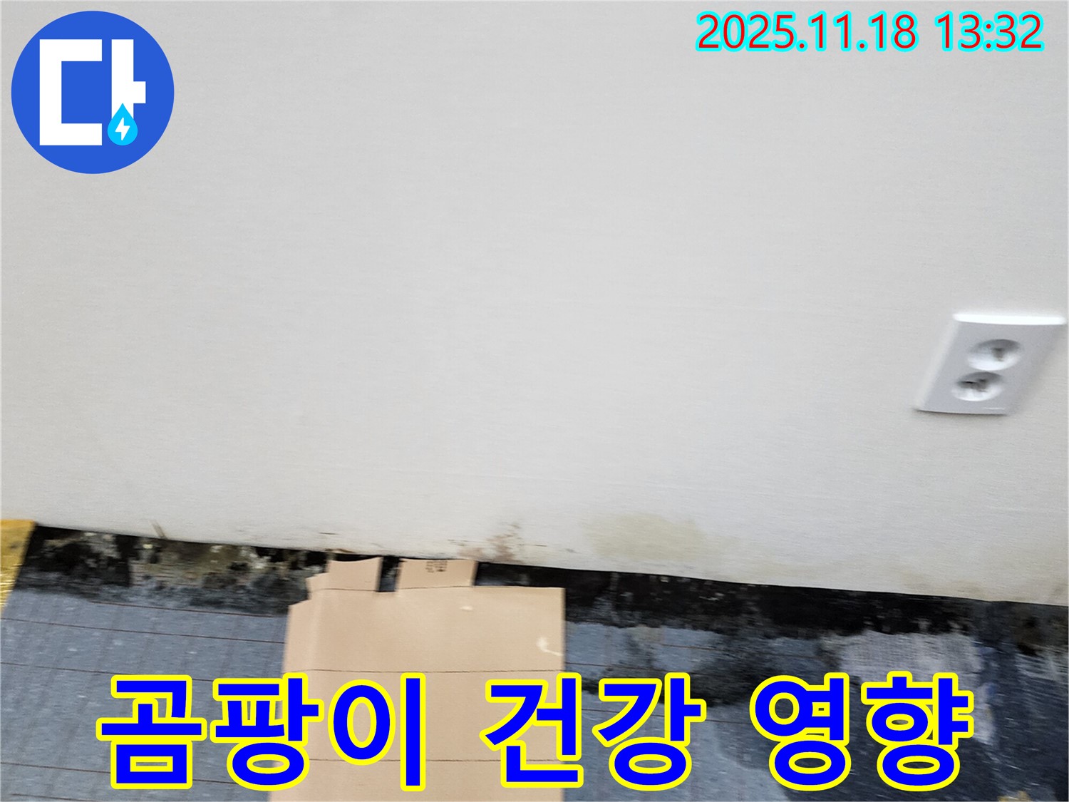 곰팡이 - 건강 위협 - 쾌적 환경