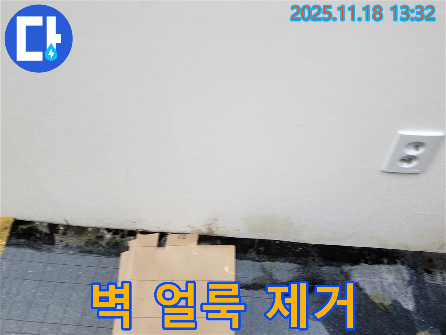 벽 얼룩 - 곰팡이 제거 - 청결 유지