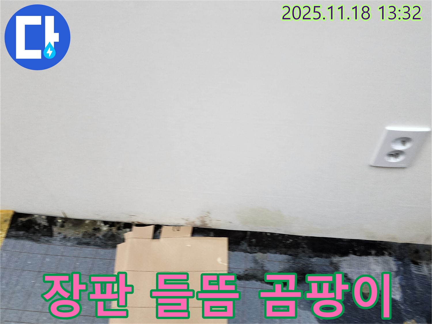 장판 들뜸 - 곰팡이 냄새 - 누수 의심