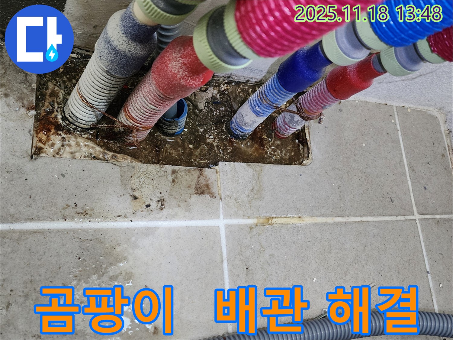 진목리 누수 - 곰팡이 핀 벽, 배관 문제 해결로 쾌적한 공간 완성!