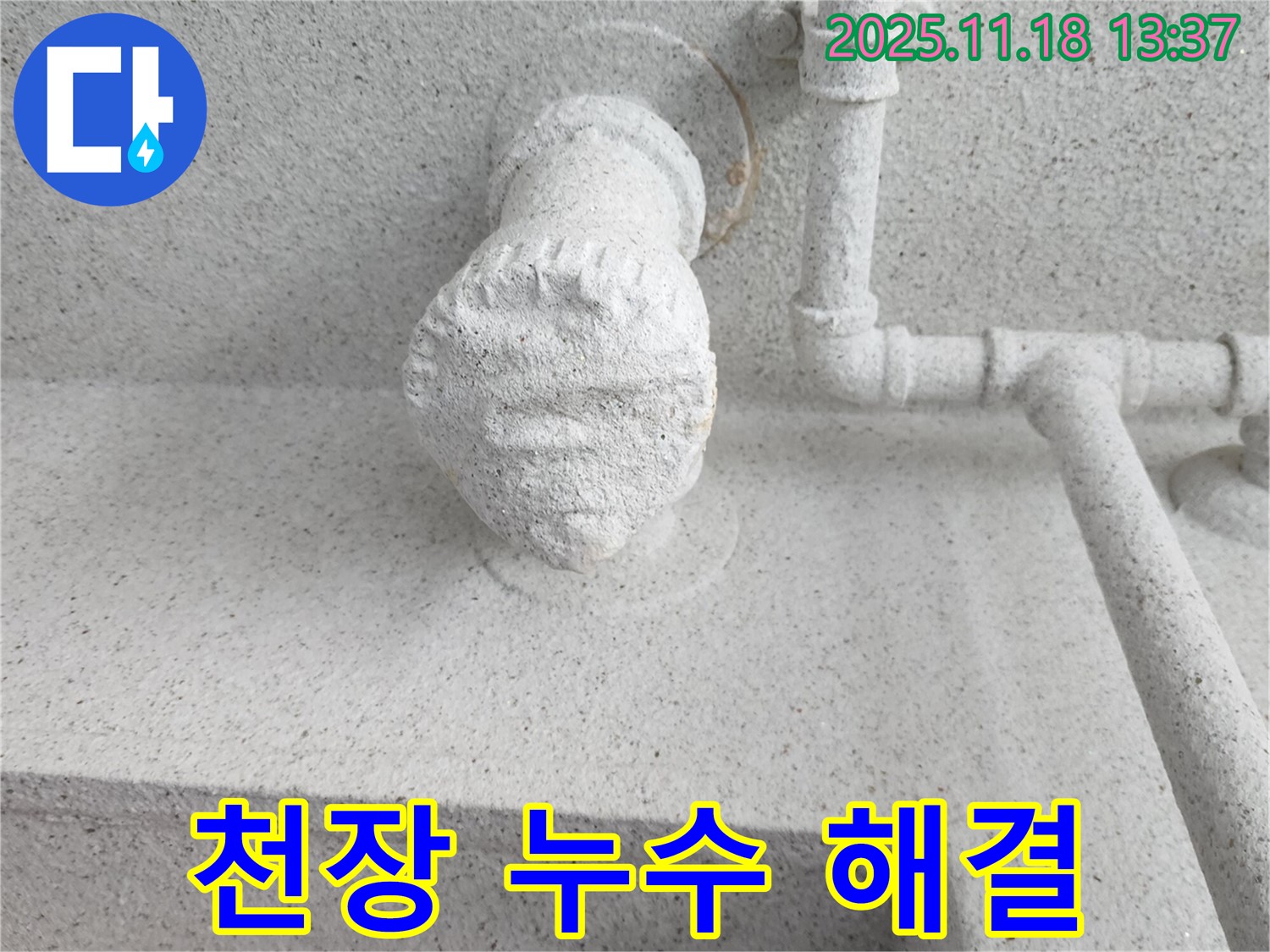 천장 누수 해결 - 꼼꼼한 점검과 완벽한 보수