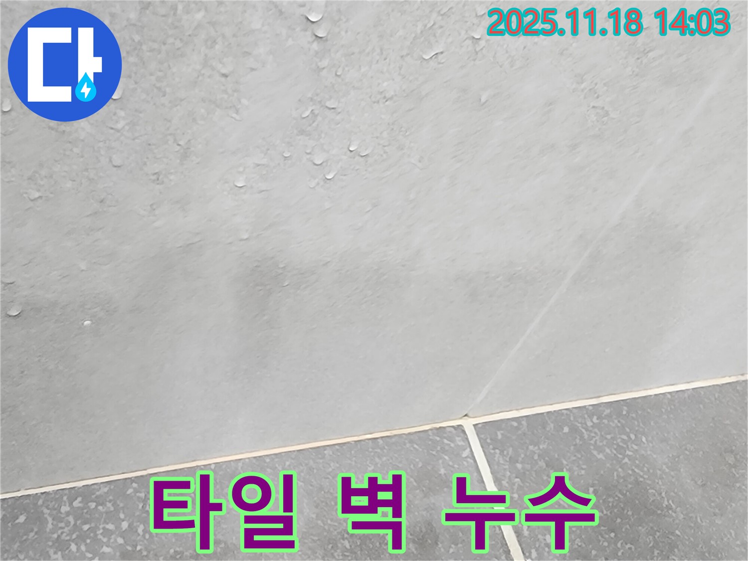 타일 벽의 누수 - 전문 장비 사용, 최소 파손 시공