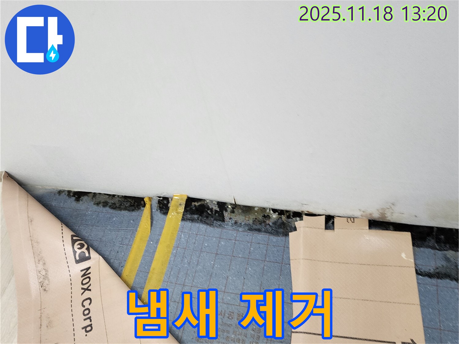 포천시 내촌면 누수 - 장판 밑 곰팡이와 습기, 곰팡이 냄새까지 싹!
