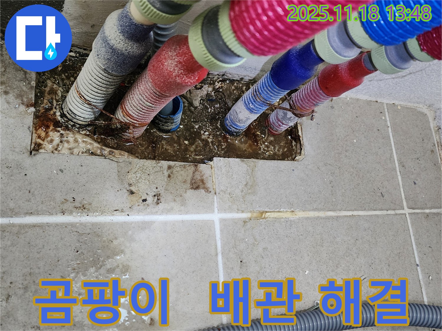 포천시 내촌면 진목리 누수 - 곰팡이와 함께 사라진 배관 문제, 쾌적한 환경으로!