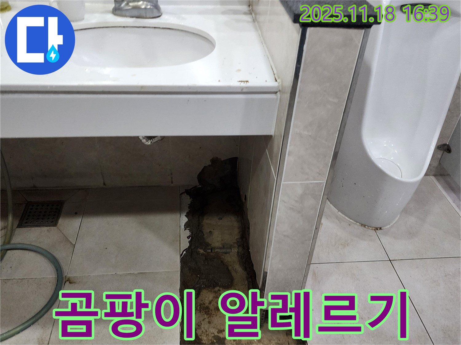 내촌면 소학리 세면대 누수 - 곰팡이, 알레르기 유발 가능성