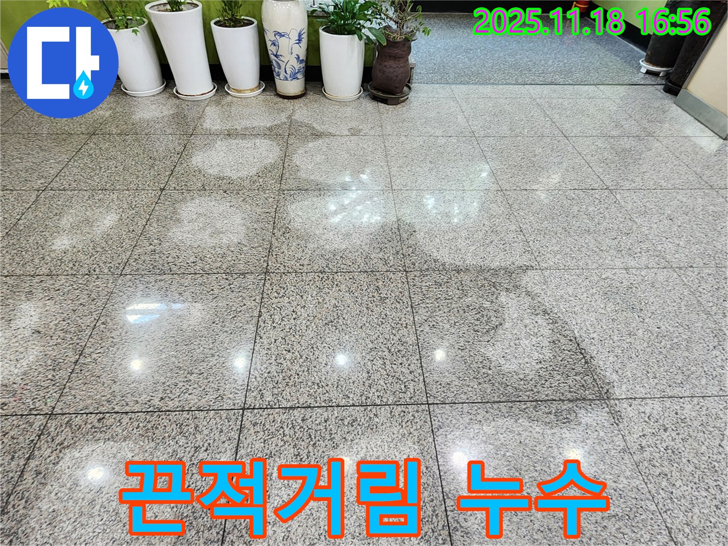 소학리 건물 - 화분 받침 끈적임, 누수 가능성 진단