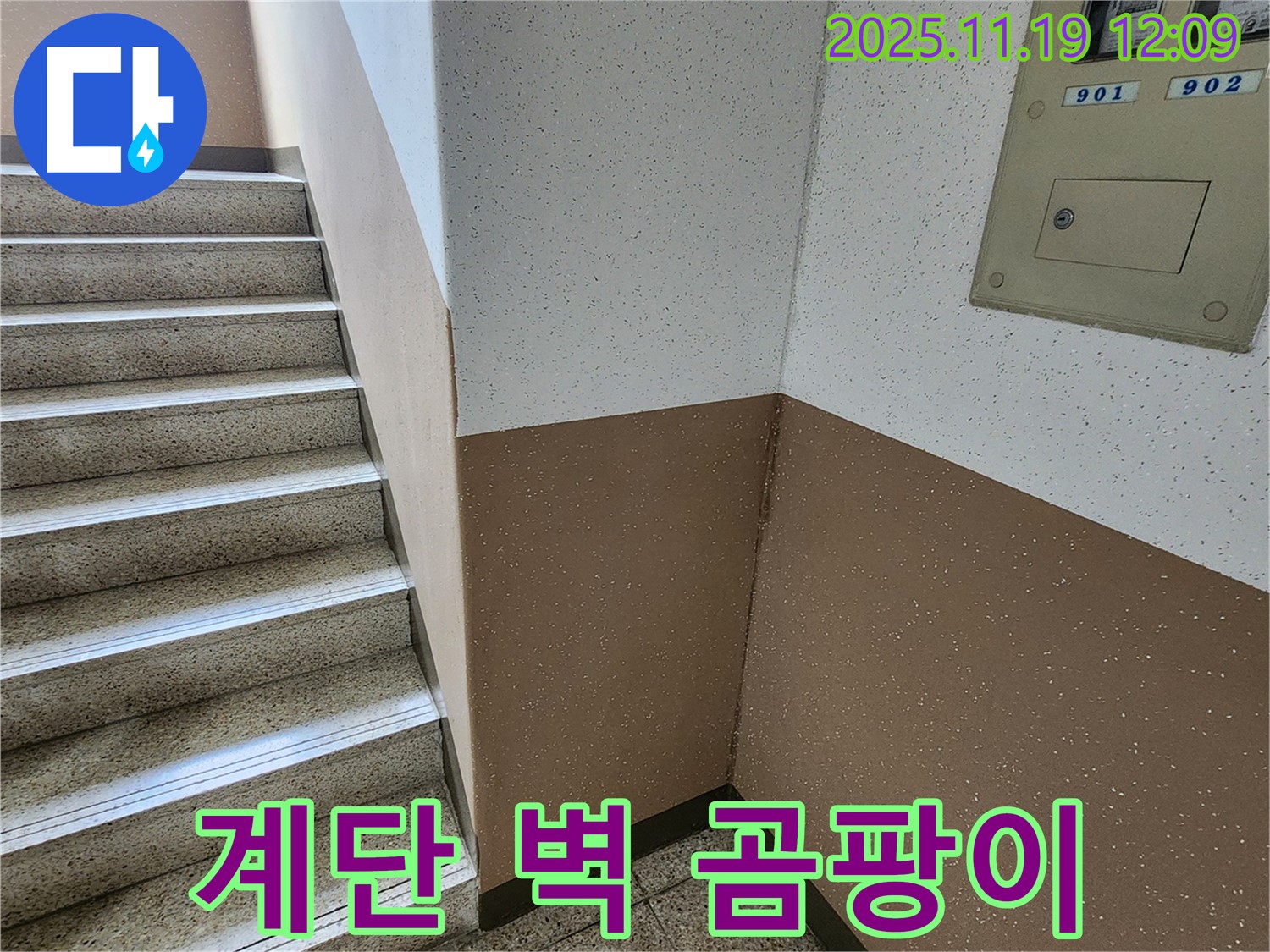 내촌면 마명리 아파트 누수 - 계단 벽 곰팡이, 곰팡이 제거 및 누수 해결