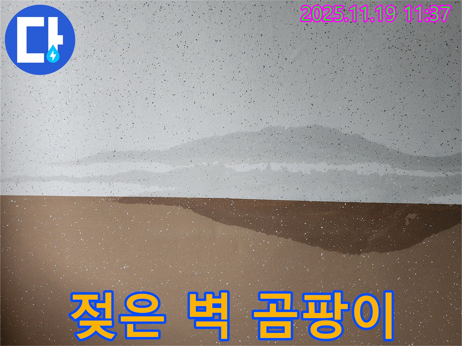 젖은 벽 - 곰팡이 냄새 - 누수 의심