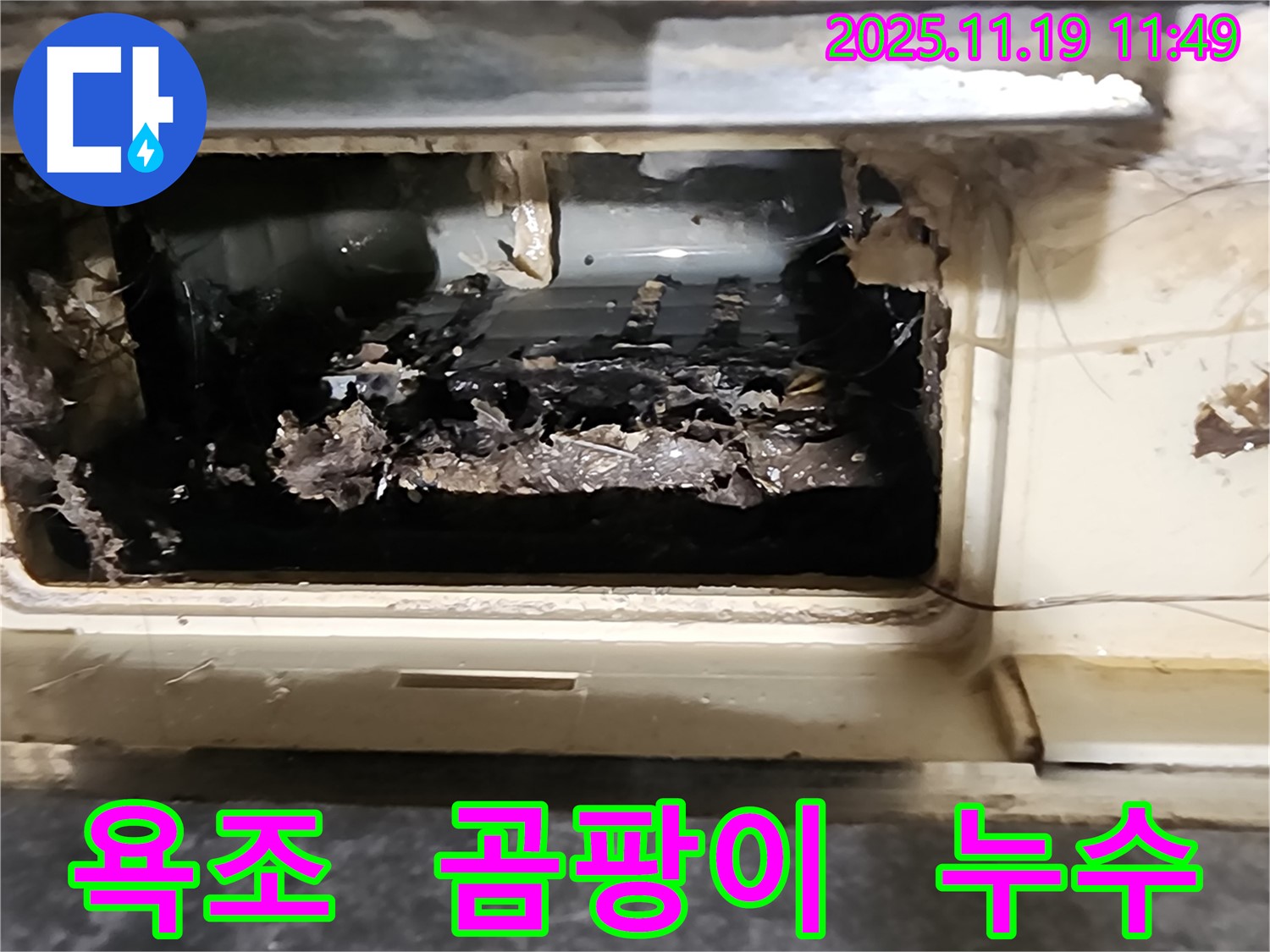 포천 내촌 욕조 배수구 속 곰팡이 지옥 - 누수 폭탄 제거 작전