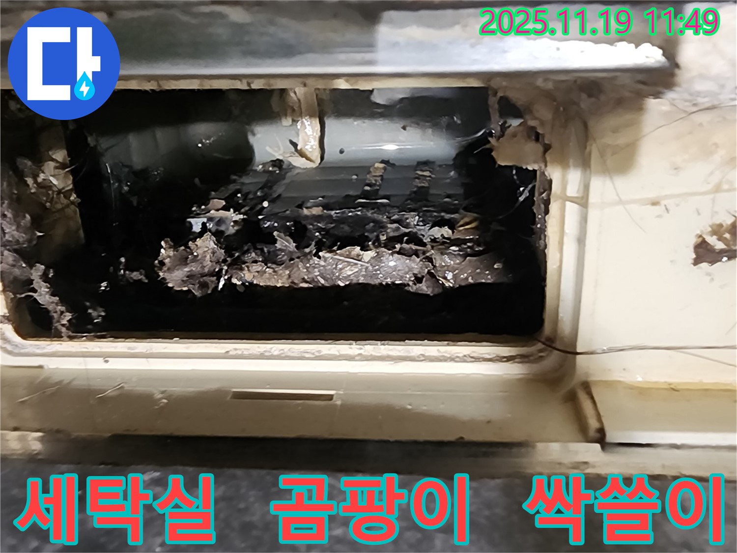 포천 내촌면 마명리 세탁실 배수구 - 곰팡이 싹쓸이 제거 작전