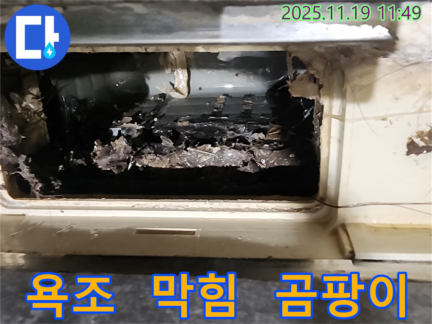 포천시 내촌면 마명리 욕조 배수구 막힘 - 곰팡이와 악취의 콜라보레이션 현장