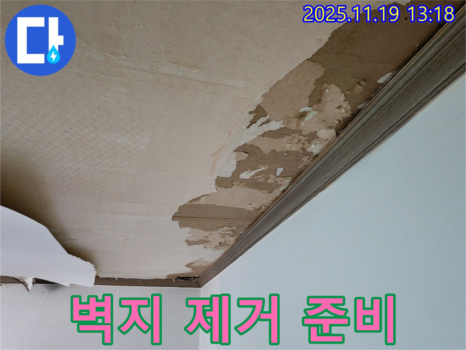 곰팡이 슨 벽지 - 완벽 제거를 위한 준비 작업 완료!