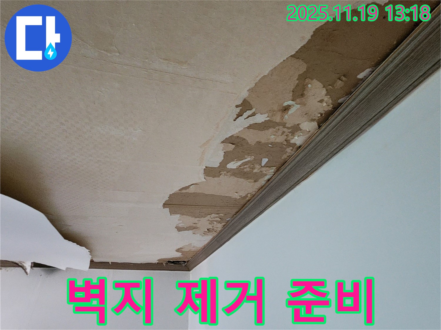 곰팡이 슨 벽지 - 완벽 제거를 위한 준비 작업 중입니다.