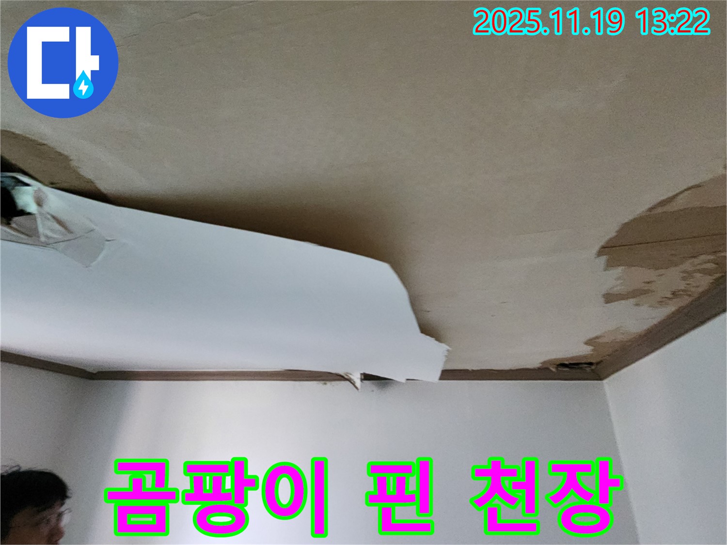 곰팡이 핀 천장 누수 현장 - 누수 탐지 및 곰팡이 제거 시공 과정을 담은 이미지입니다.