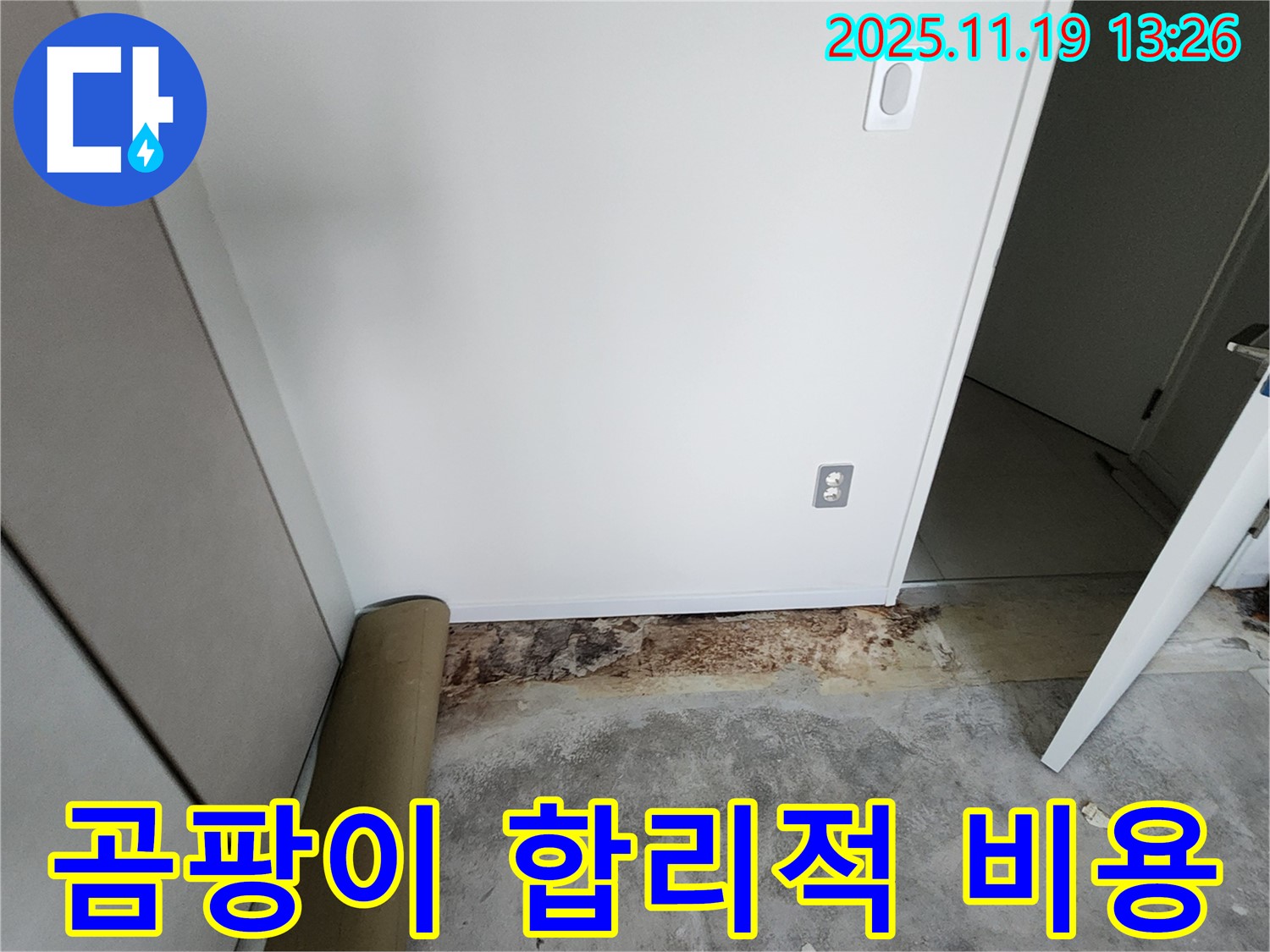 내촌 누수 해결 - 곰팡이 핀 장판 문제 - 포천시 내촌면 화동리에서 합리적인 비용으로 해결!