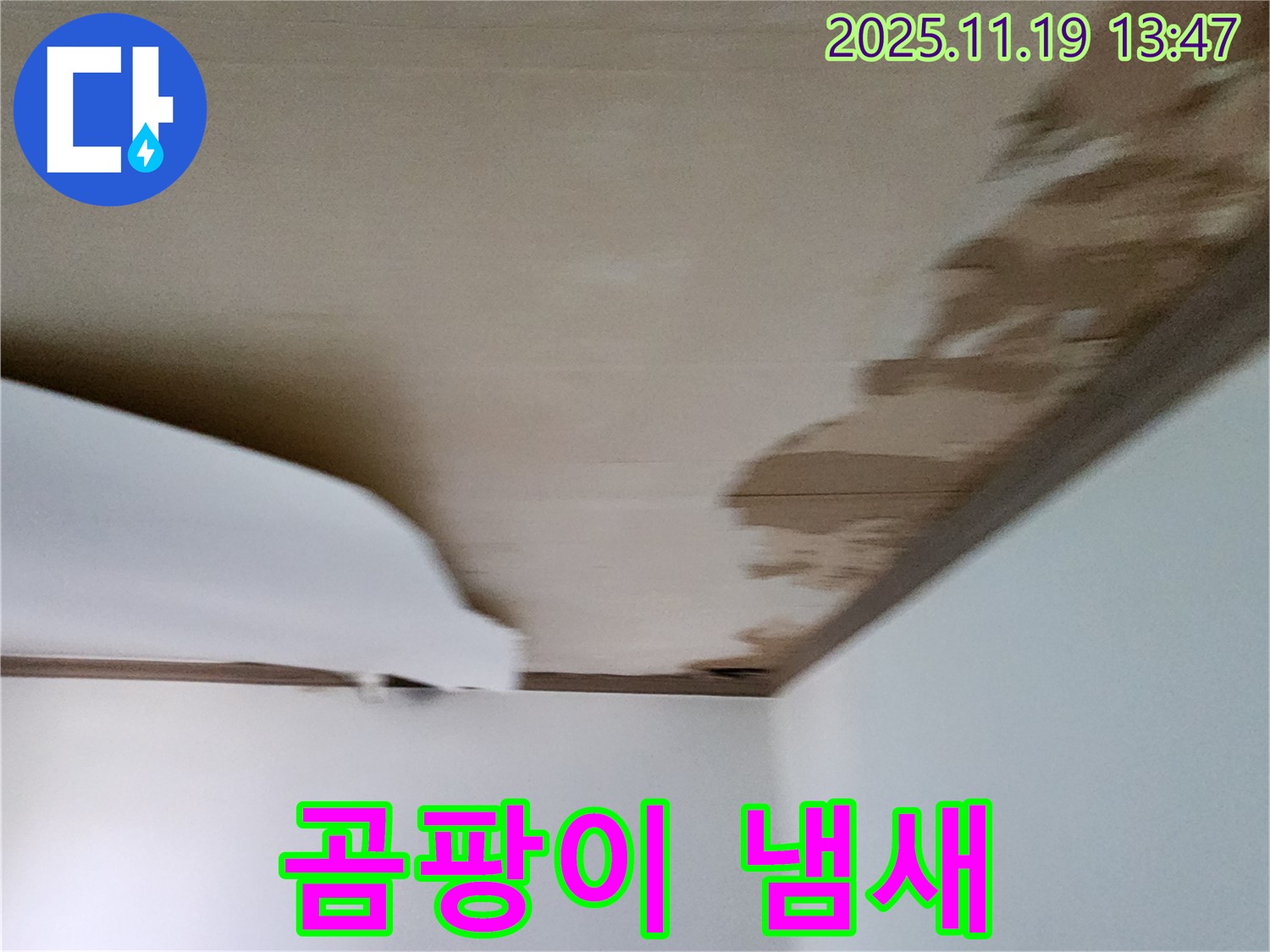 내촌 천장 - 젖은 석고보드와 함께 곰팡이 냄새 진동