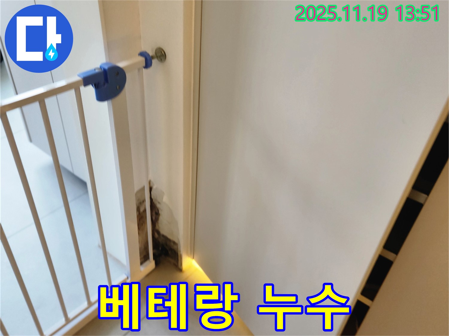 베테랑 누수 시공 - 곰팡이 누수