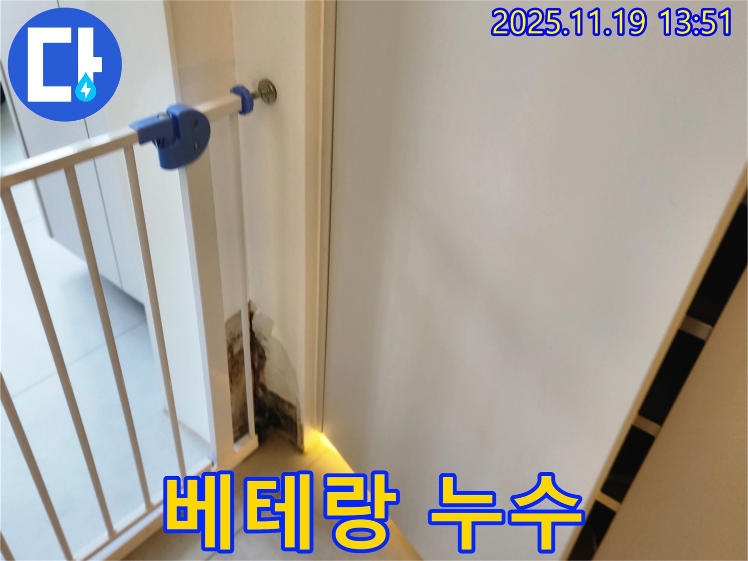 베테랑 누수 시공 - 벽 하단 곰팡이 누수