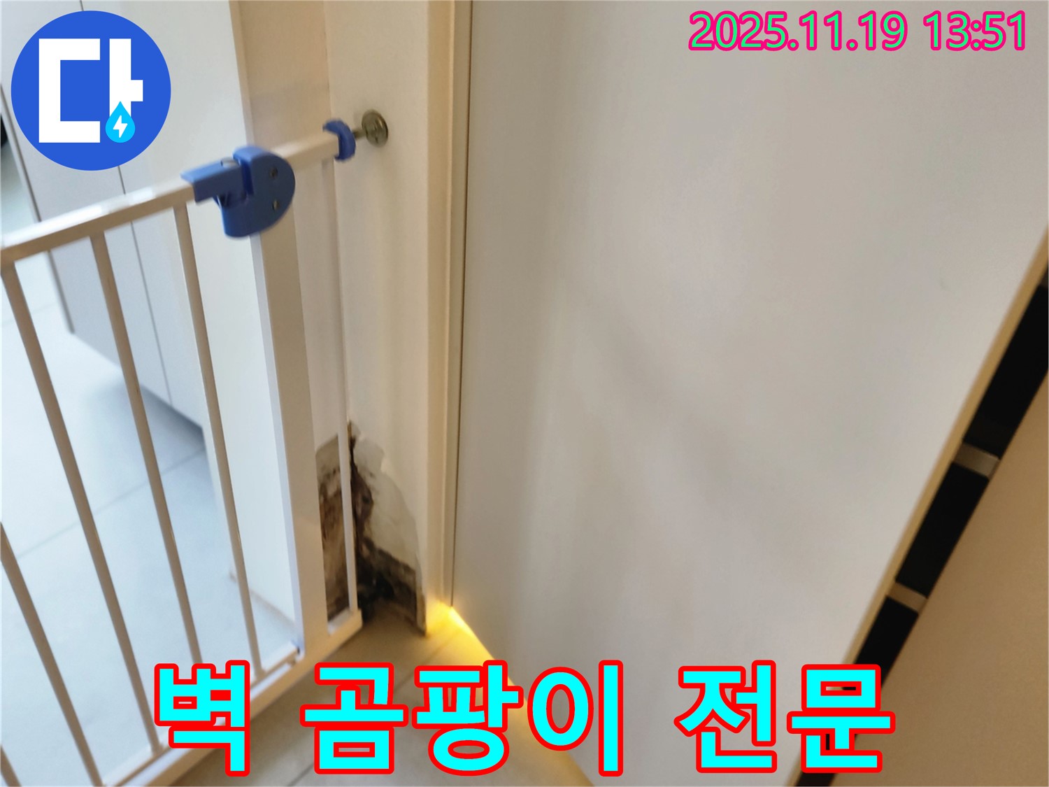 벽 곰팡이 누수 전문 - 누수 해결