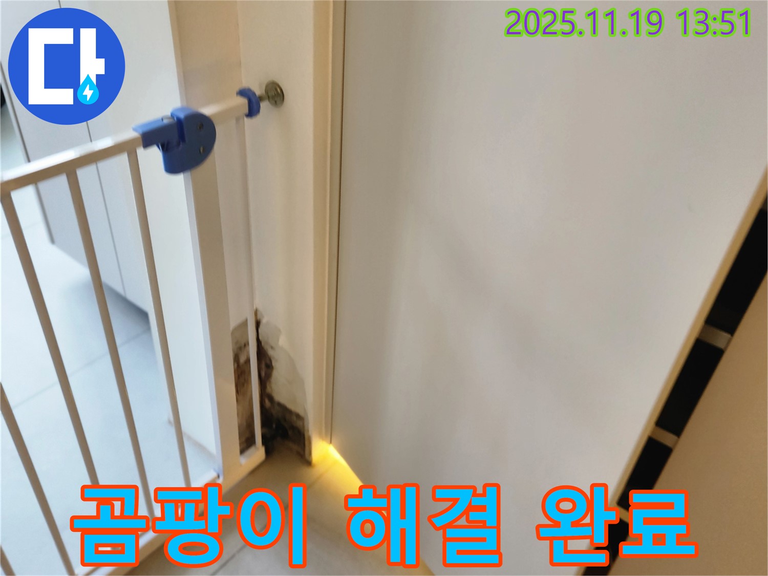 벽 하단 곰팡이 누수 해결 - 쾌적한 환경