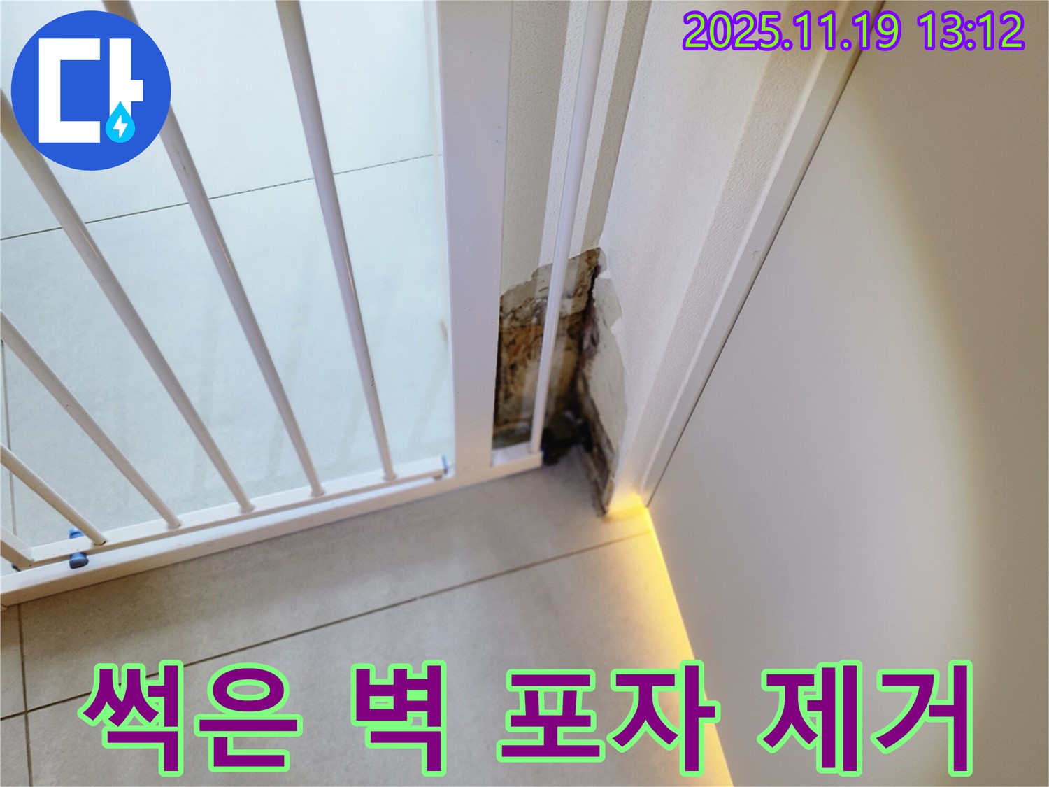 썩은 벽과 곰팡이 - 누수, 곰팡이 포자 - 완벽하게 제거!