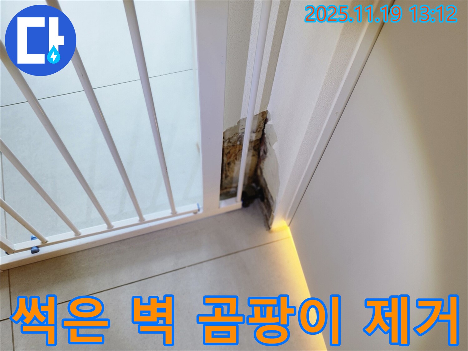 썩은 벽과 곰팡이 - 누수, 완벽 제거 - 깨끗한 공간으로!