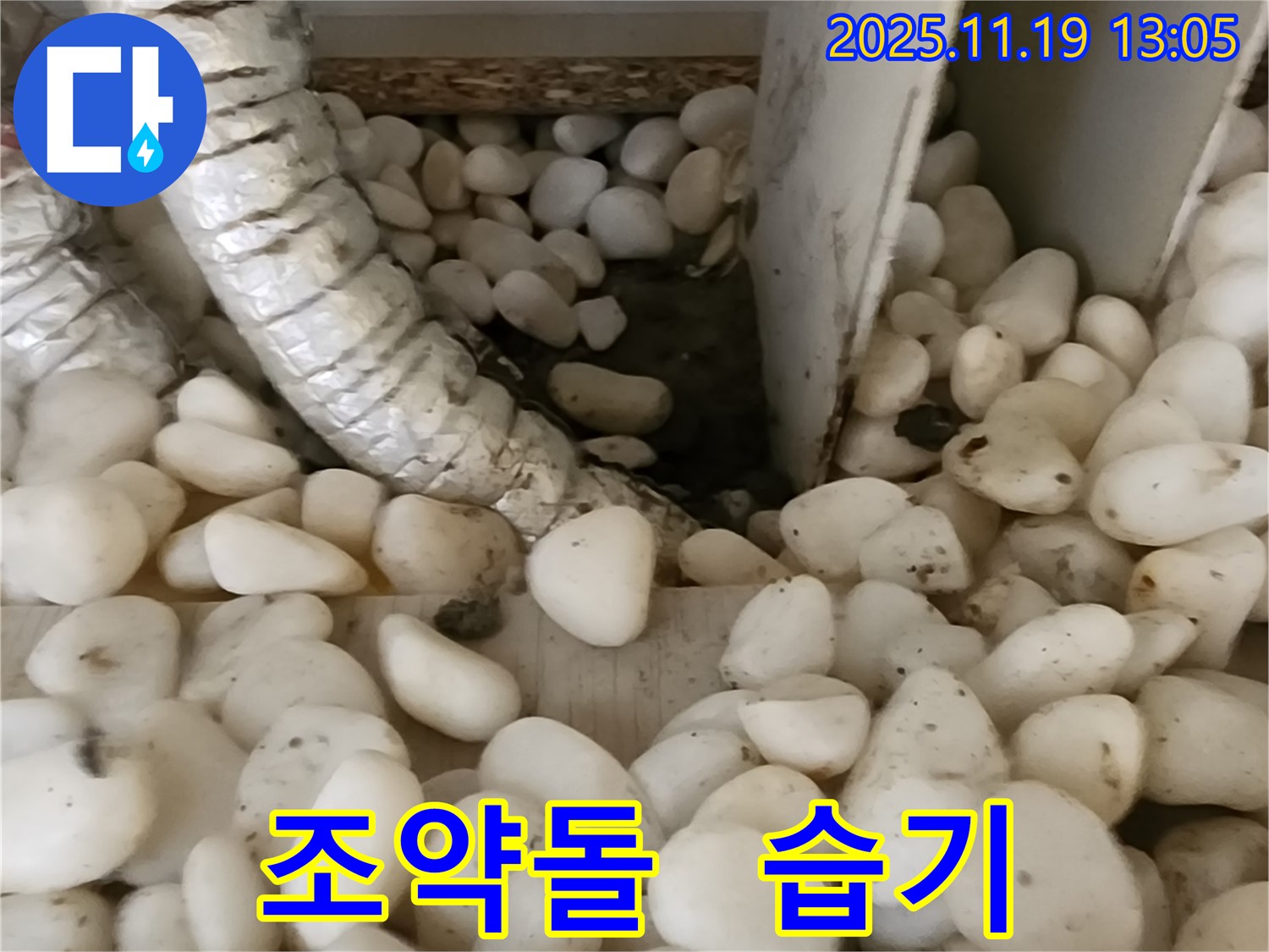 조약돌 사이 습기 - 누수 가능성을 의심하세요.