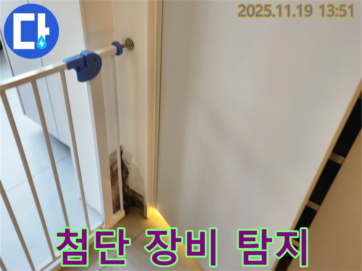 첨단 누수 탐지 장비 - 안전문 곰팡이 누수