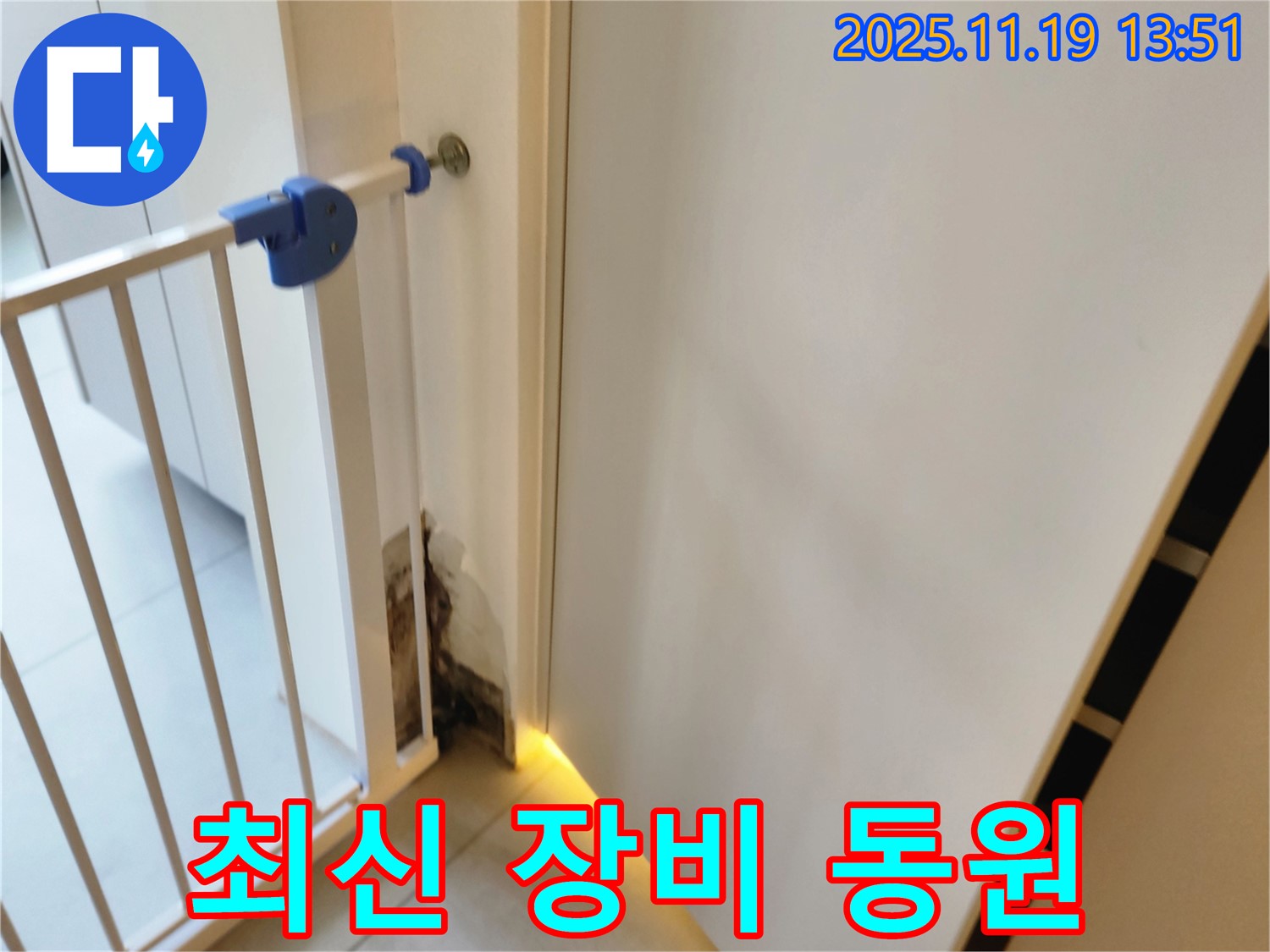최신 누수 장비 - 안전문 곰팡이 누수