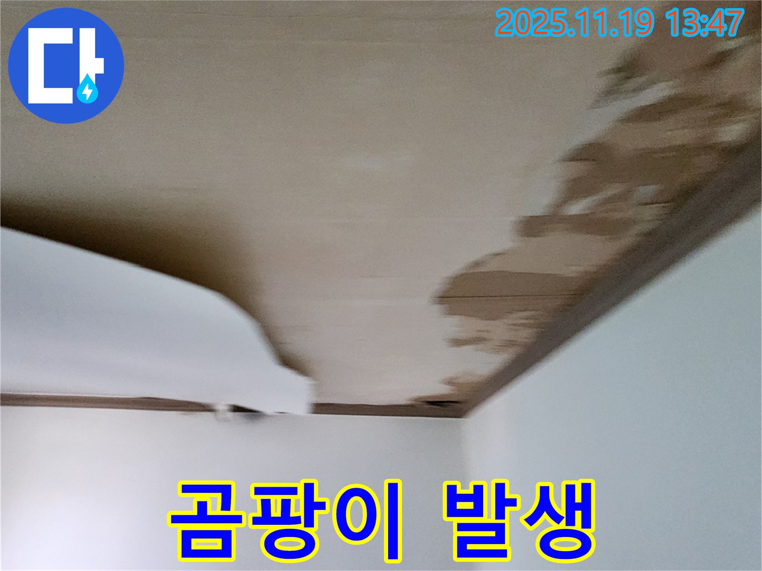 포천 내촌 천장 - 젖은 마감재와 함께 곰팡이 발생 가능성