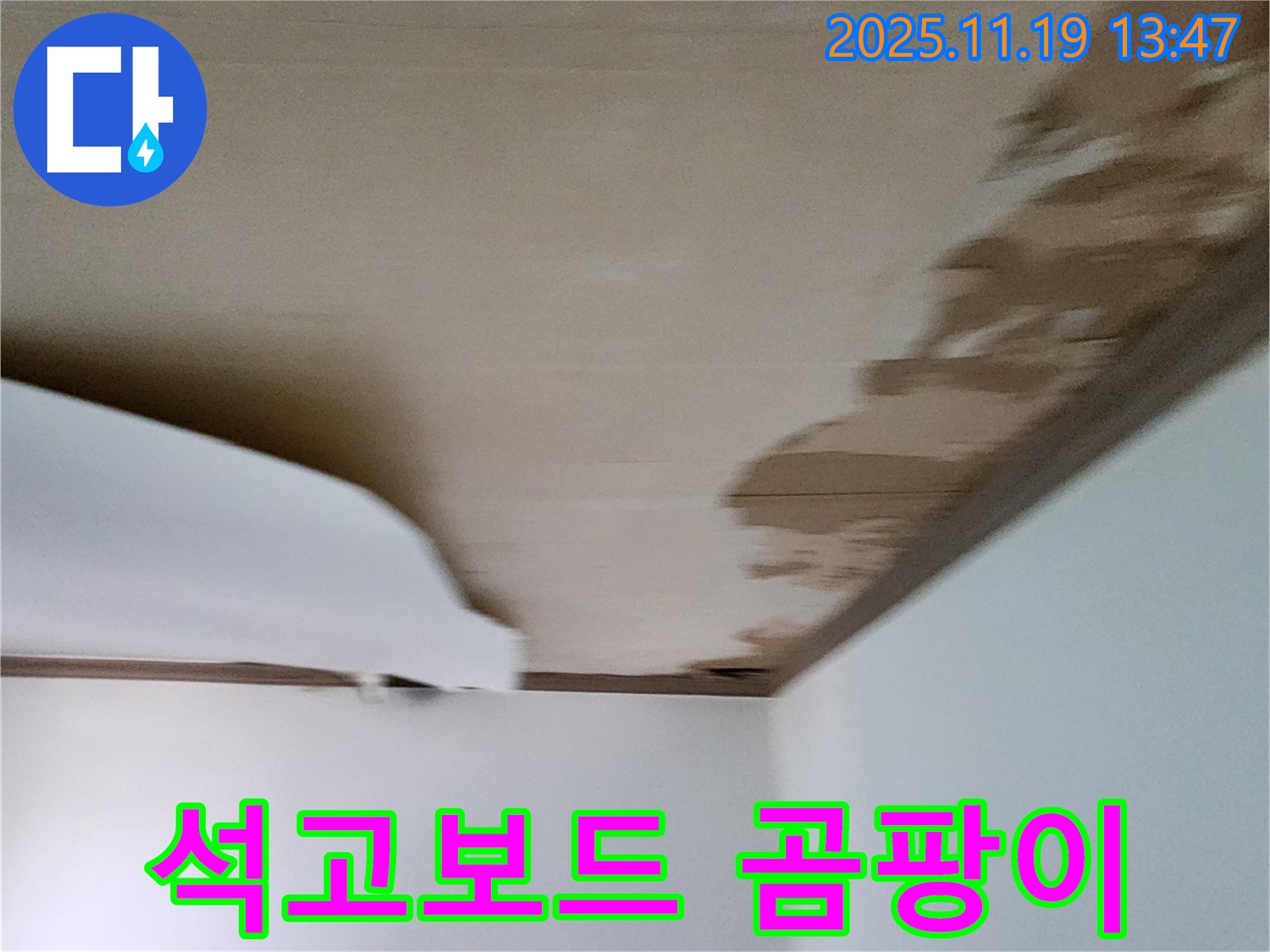 포천시 내촌면 내리 주택 천장 - 석고보드 젖음과 함께 곰팡이 발생