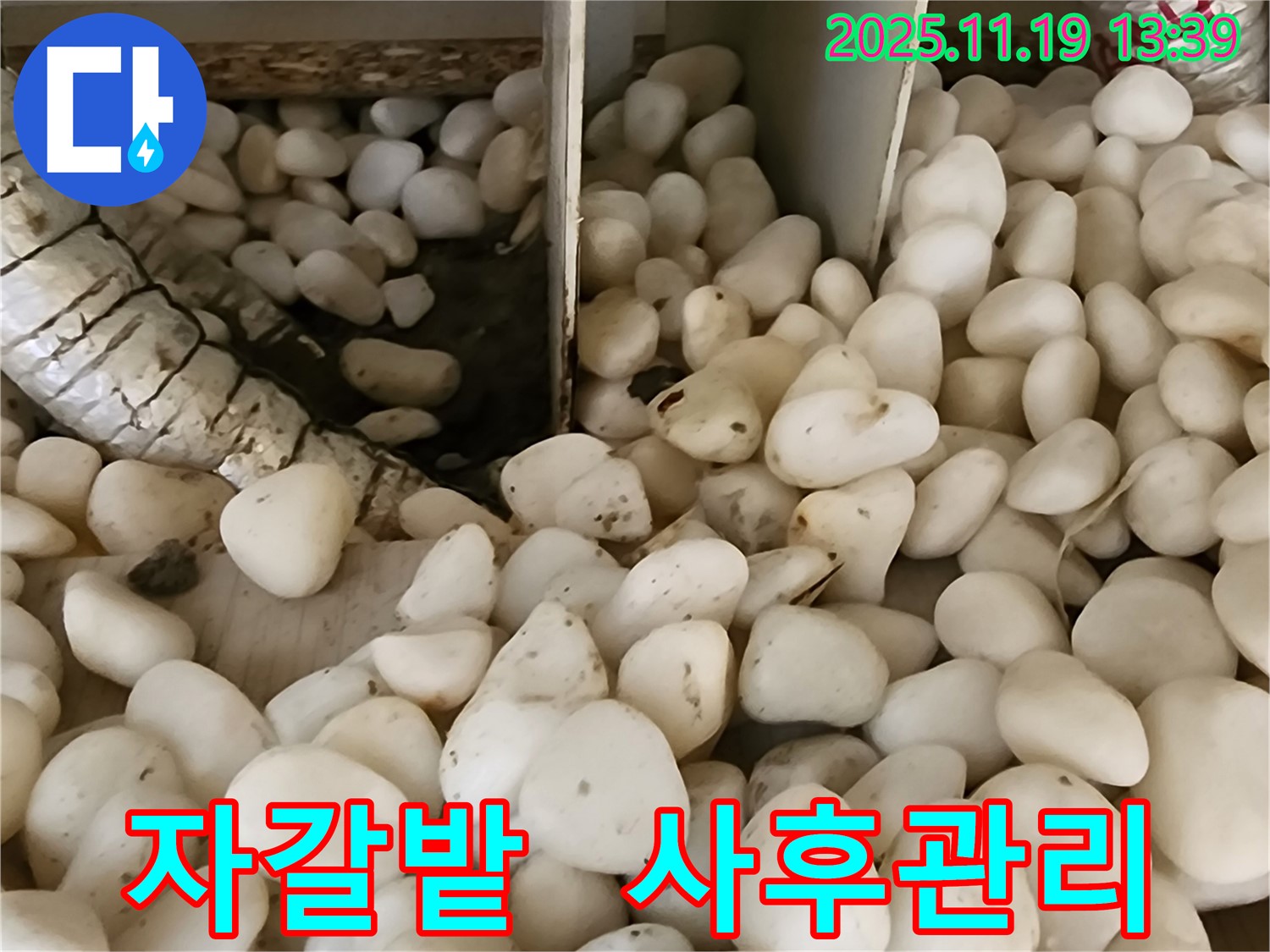 포천시 내촌면 누수 - 자갈밭 아래 누수, 완벽하게 해결하고 철저한 사후 관리까지!