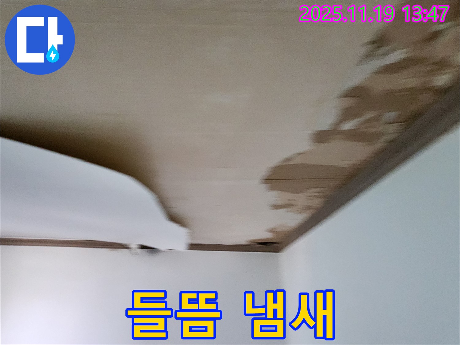 포천시 내촌면 천장 - 마감재 들뜸과 함께 심한 곰팡이 냄새